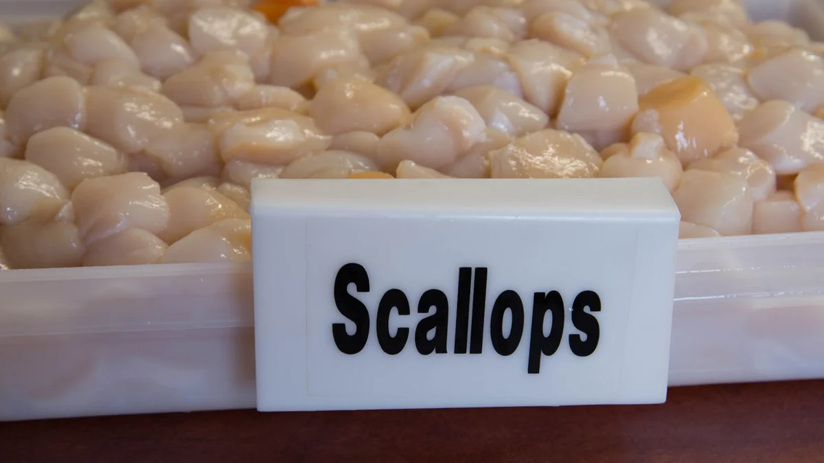 OMG Scallops!