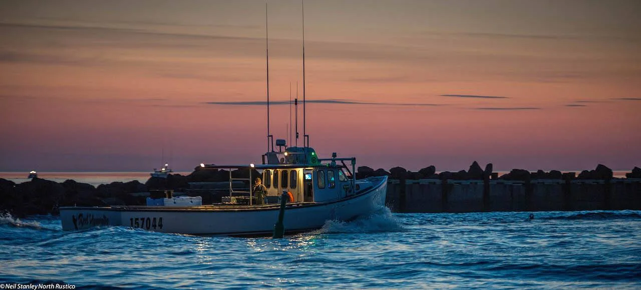 north rustico 2.jpg