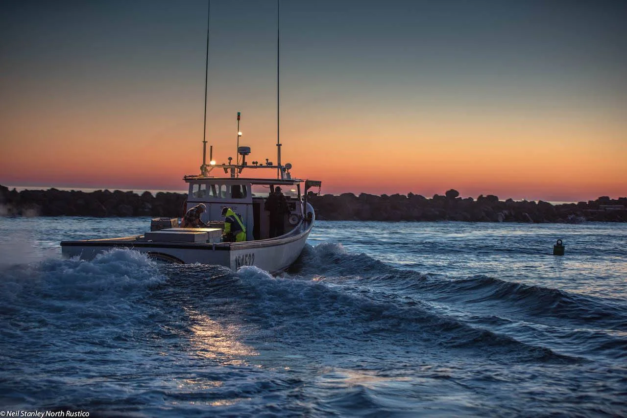 Lobster Fishing 2015