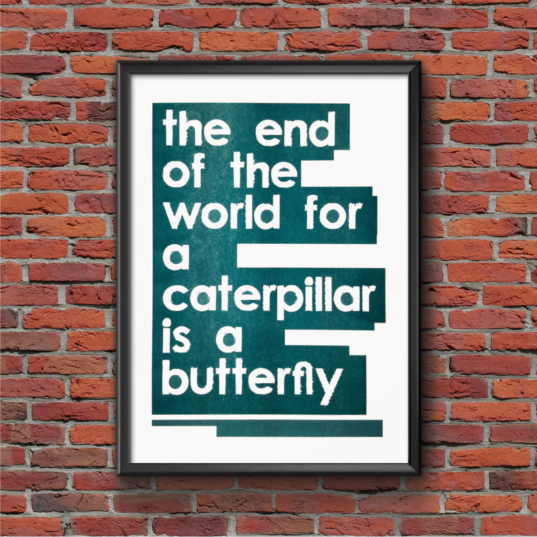 Butterfly.jpg