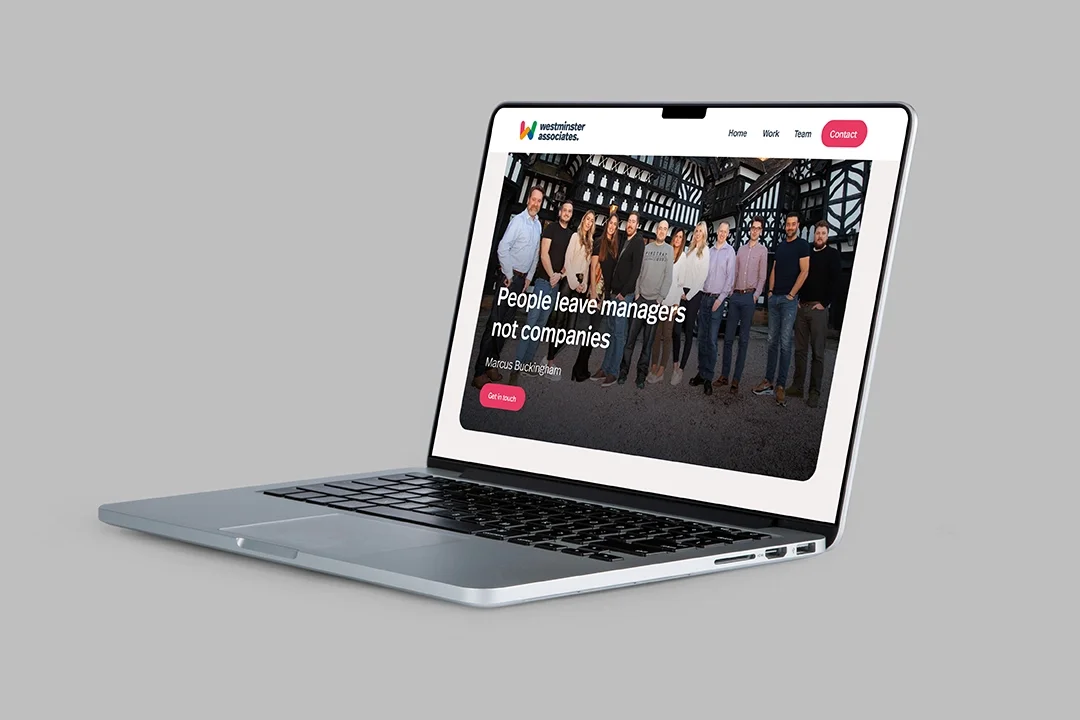 Brand identity design for Westminster Associates Insights Discovery consultancy created in collaboration with Muddy Wellies focusing on organisational development and team transformation.