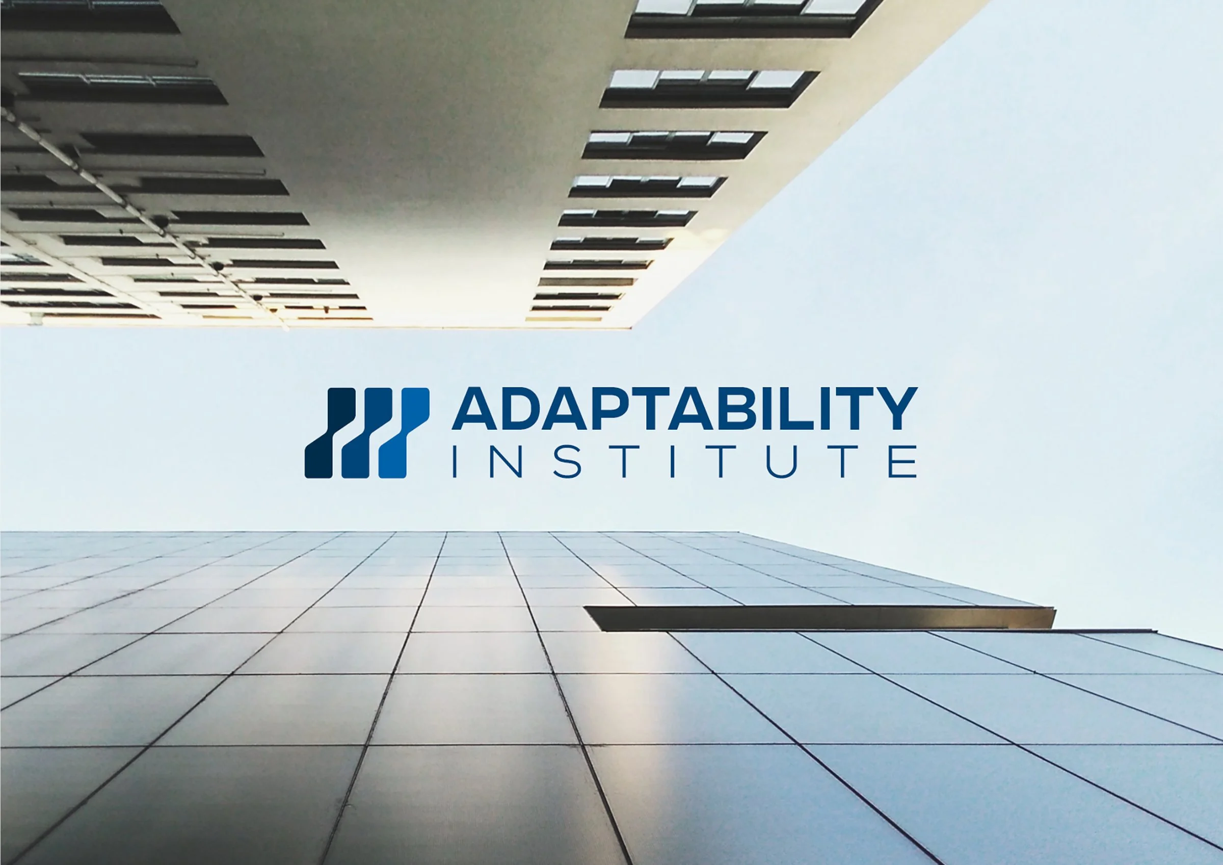 The Adaptability Institue.jpg