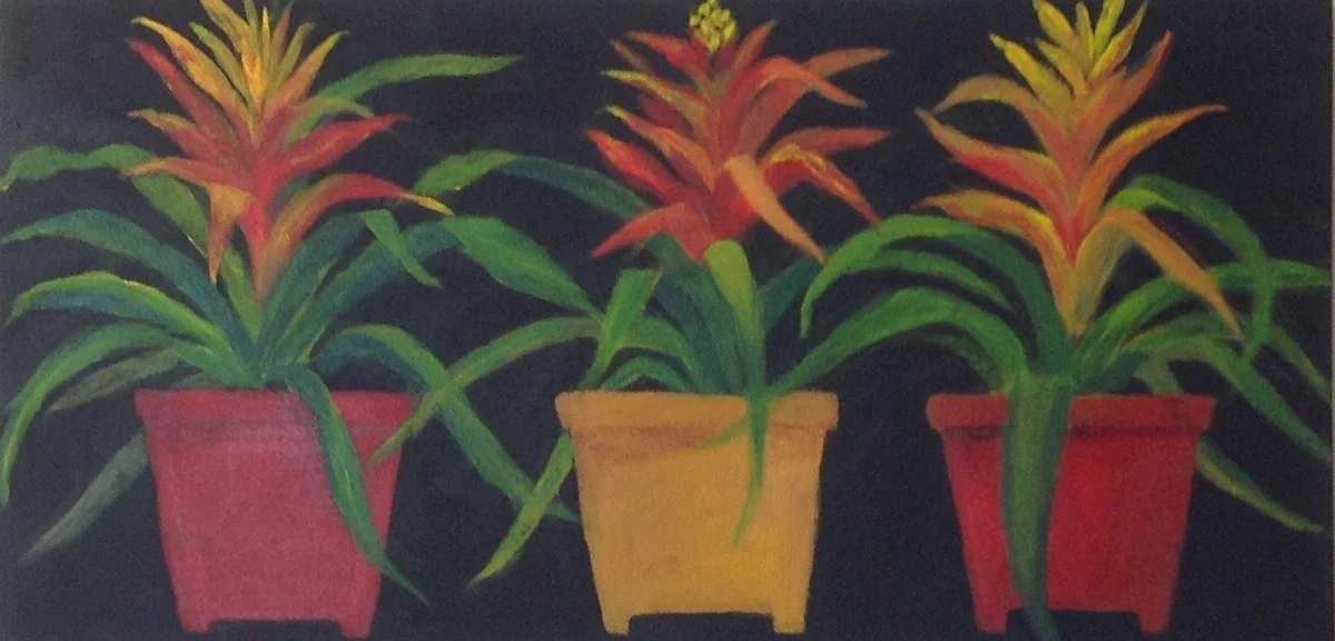 FLOWER POTS Acrylic 15'' x 30''