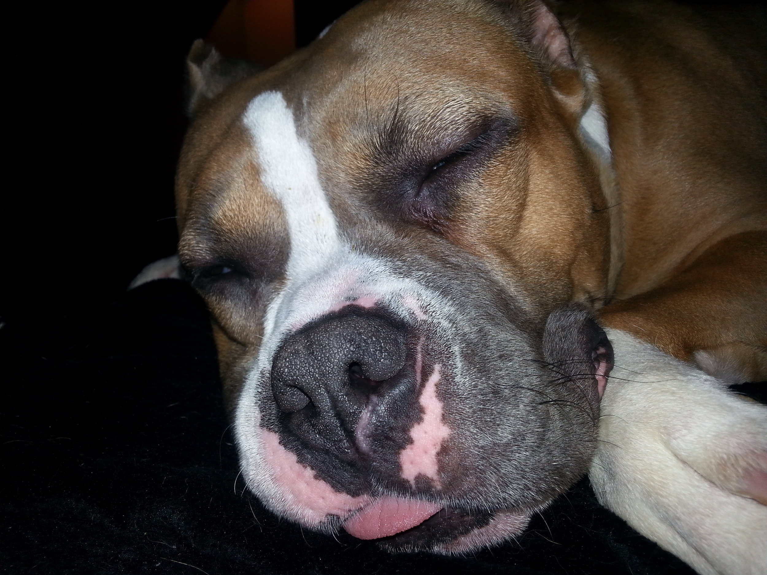 20140516_103425.jpg