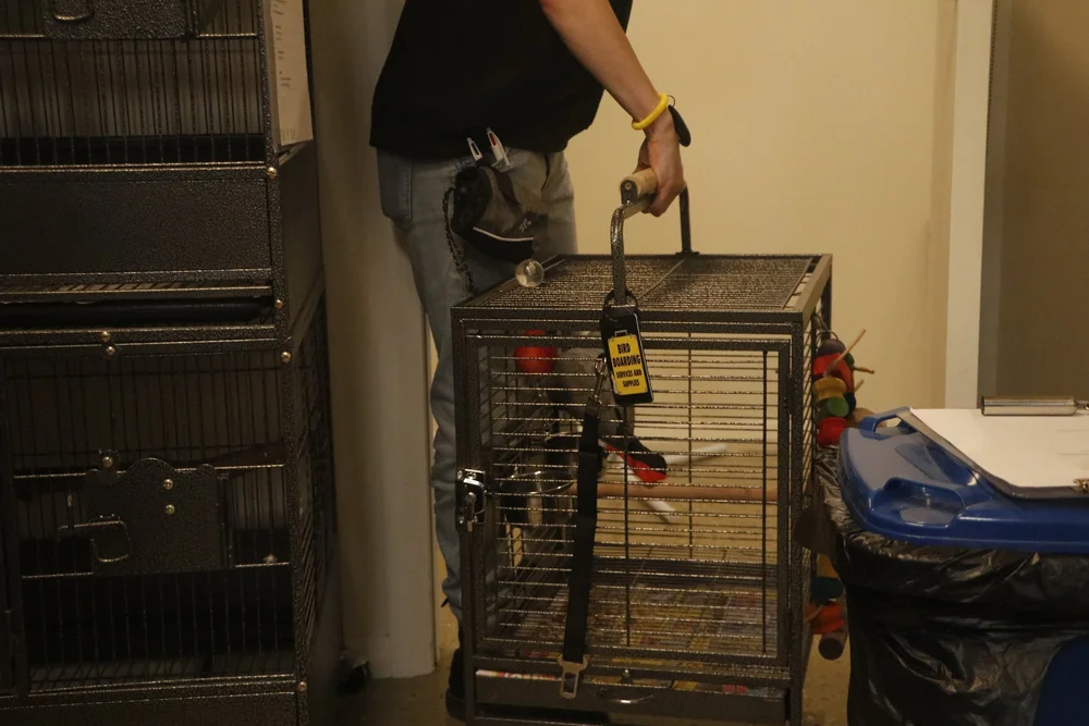 Animal Attendant & Veterinary Staff