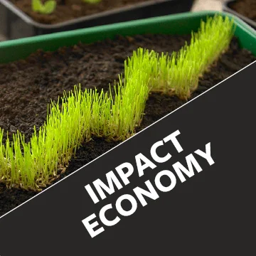 ImpactEconomy.jpg