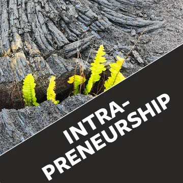 Intrapreneurship.jpg