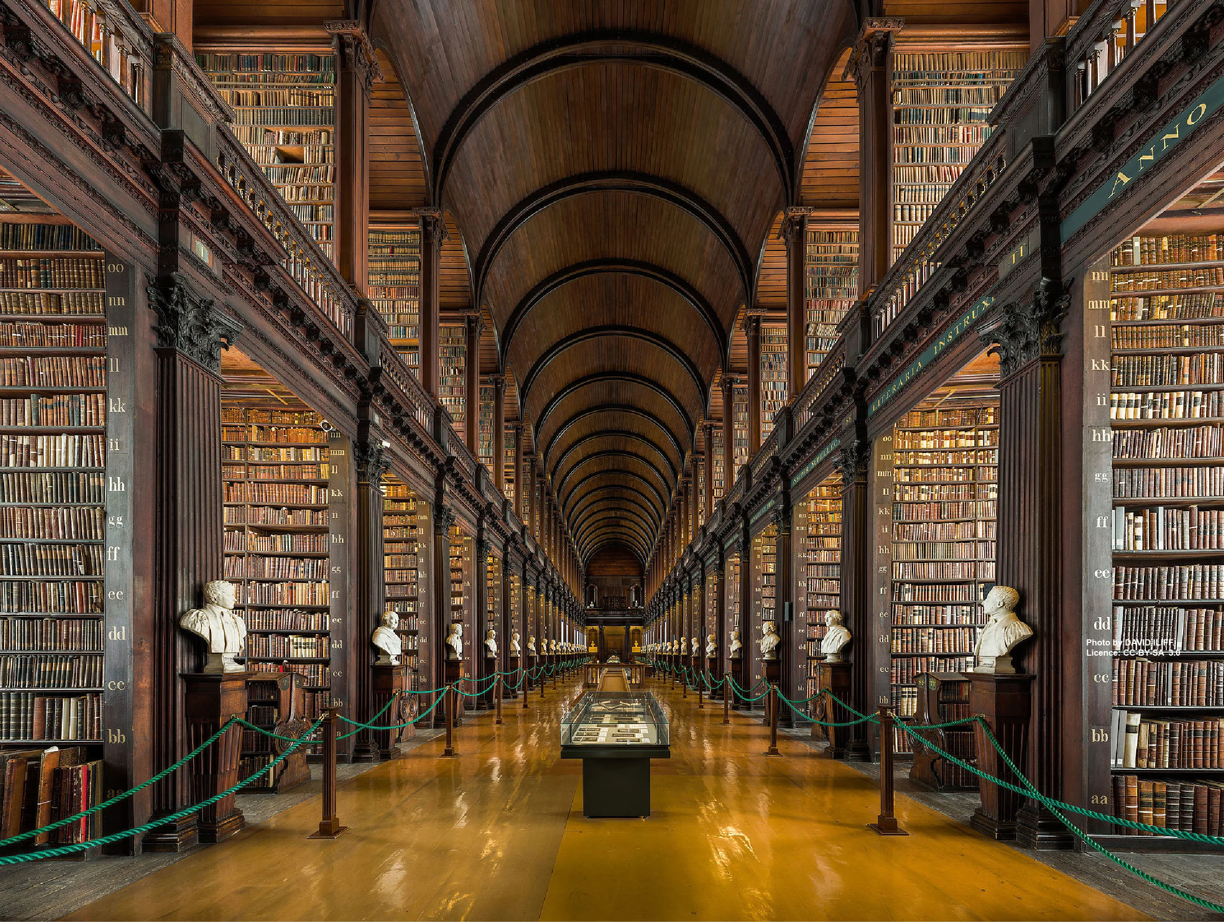 Library+picture+300+dpi.jpg