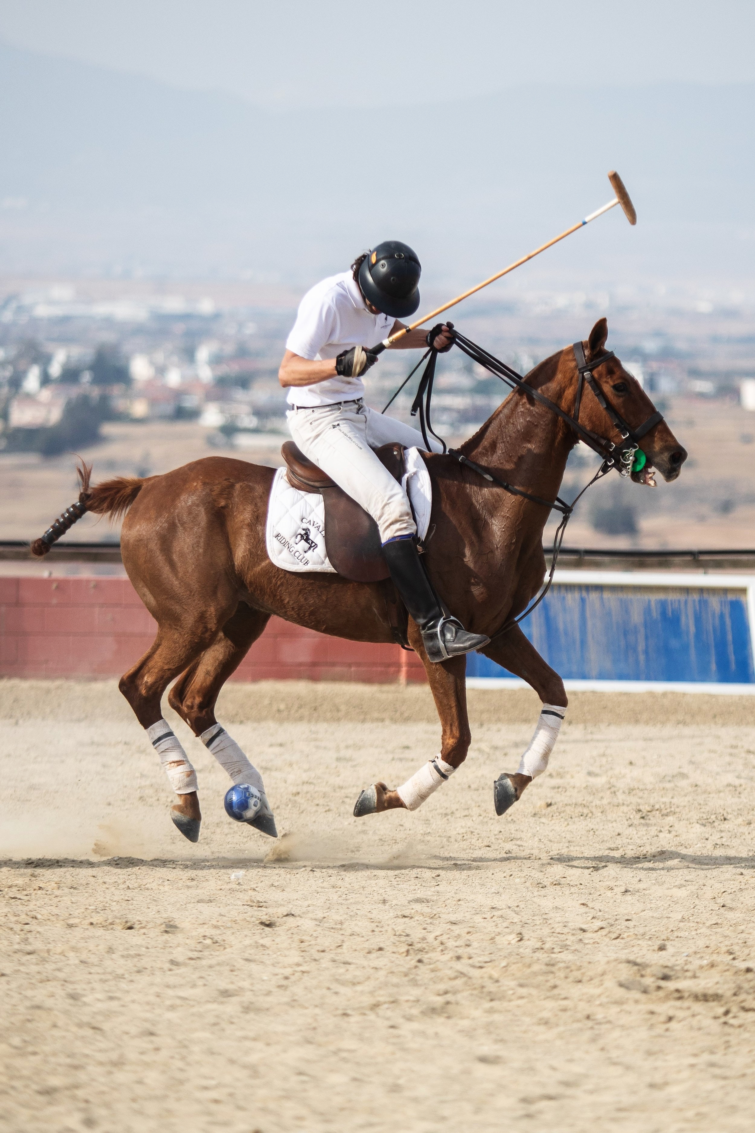 Polo©AndreasPoupoutsis (42 of 52)-min.jpg