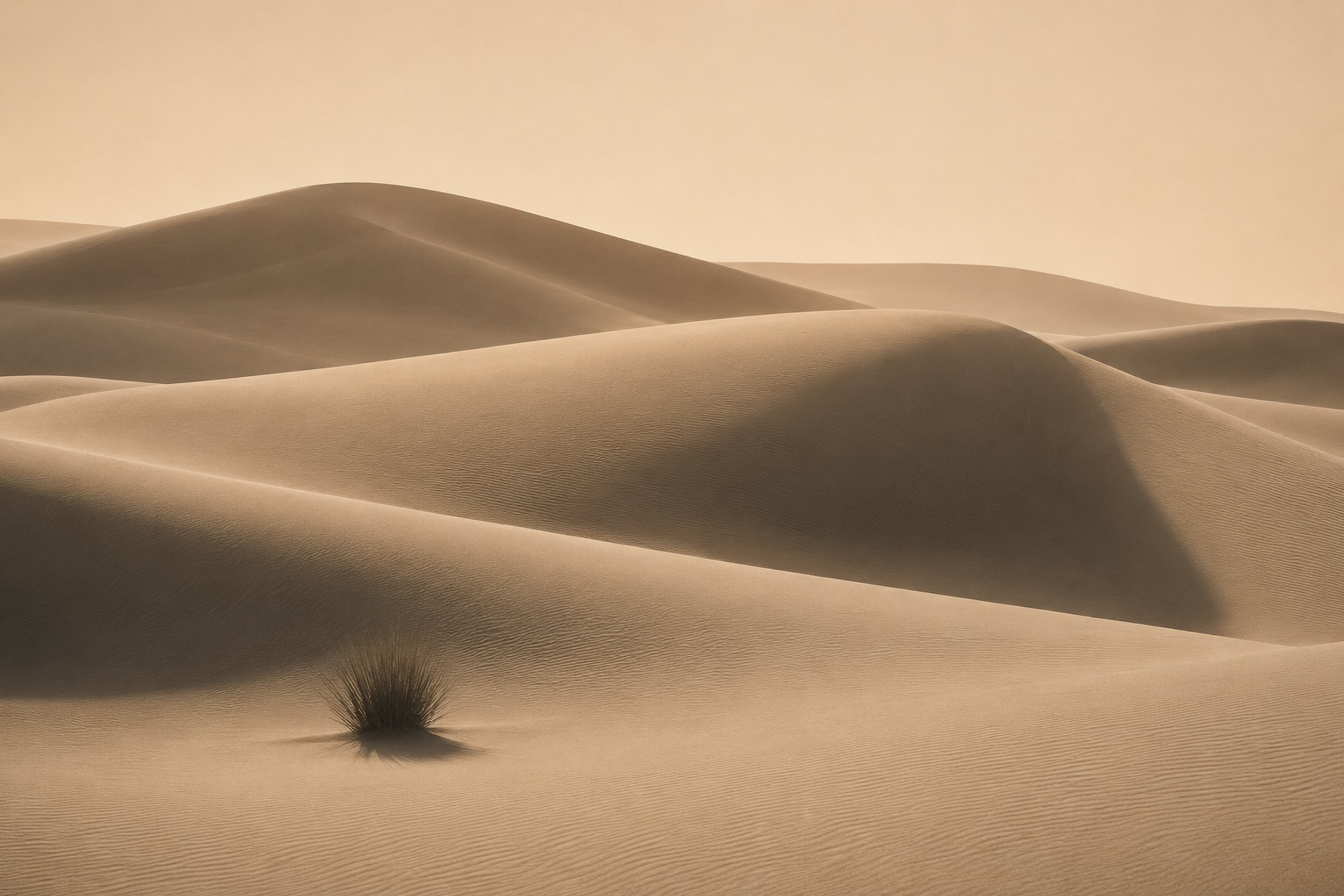 Serenity©AndreasPoupoutsis-3.jpg
