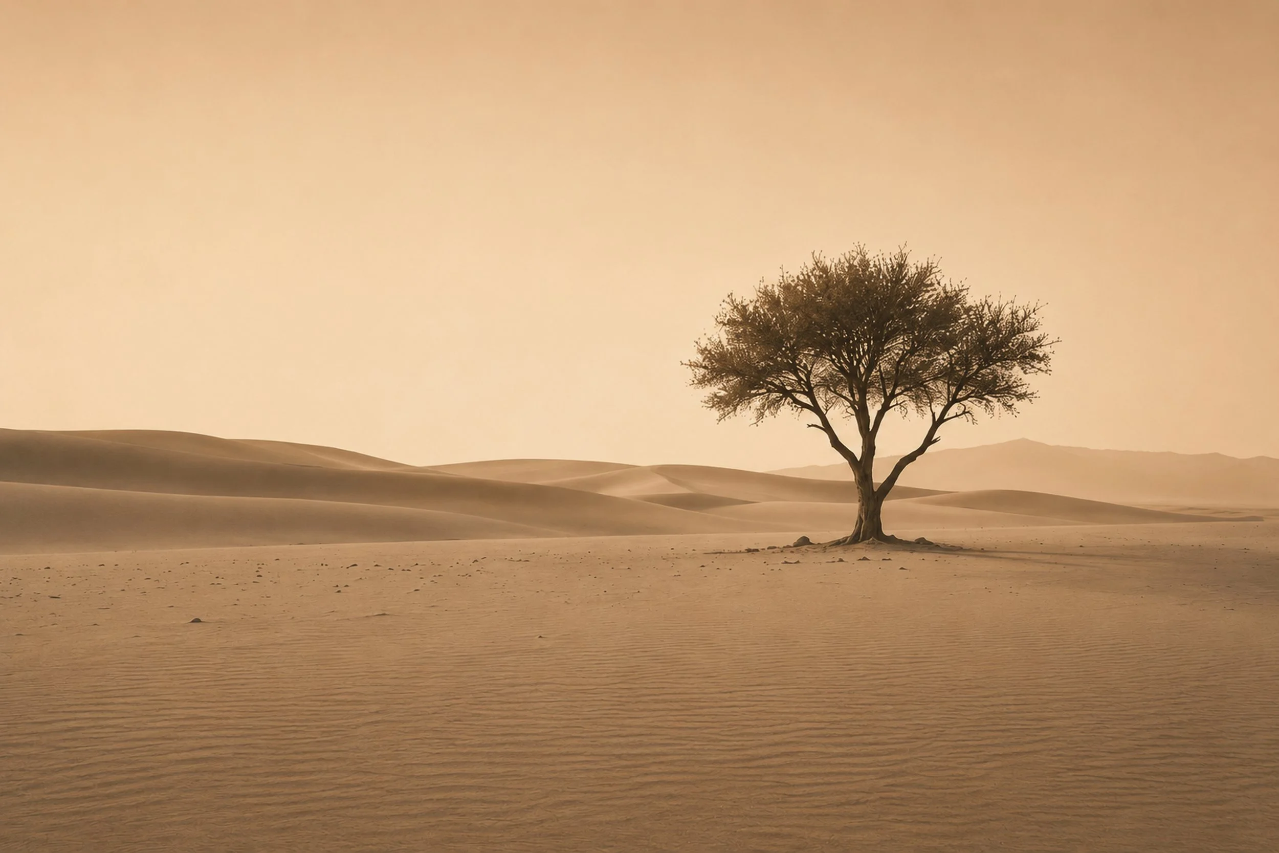 Serenity©AndreasPoupoutsis-10.jpg