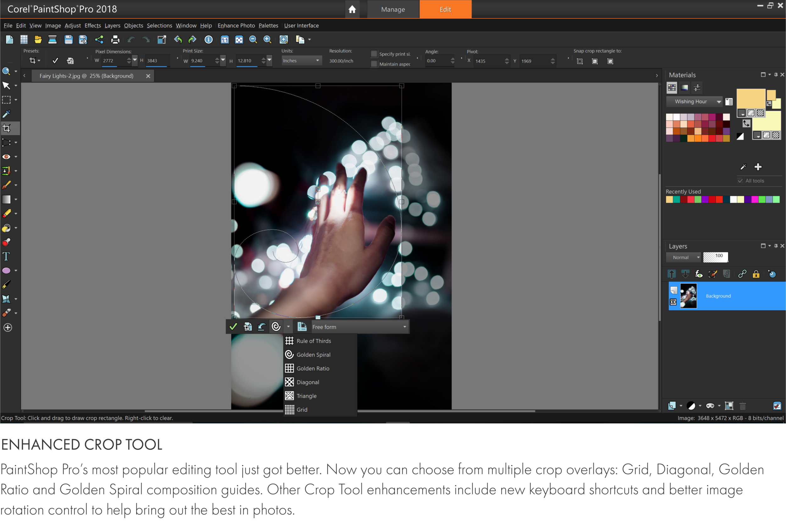 PSP2018_Crop Tool_text.PNG