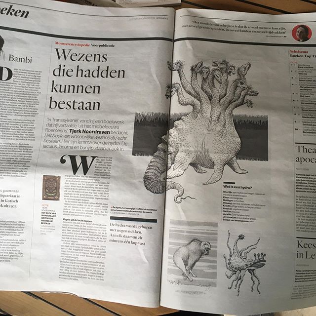 Today in newspaper Het Parool, an article about The Monsterbook I illustrated. #hetboekvanwonderlijkewezensdiewerkelijkbestaan #tjerknoordraven #moonuitgevers #hetparool #hydra #book #bookreview #publicatie