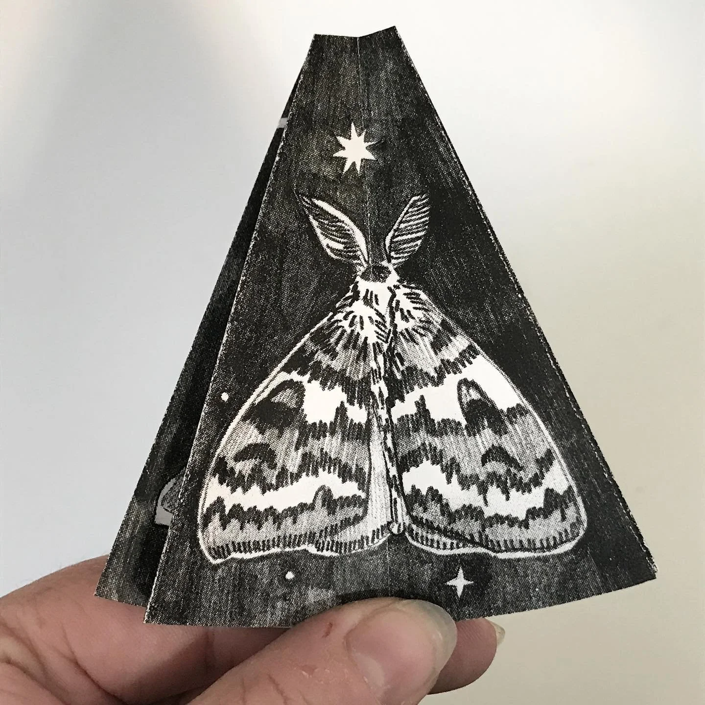 [image] - 3063582.jpeg