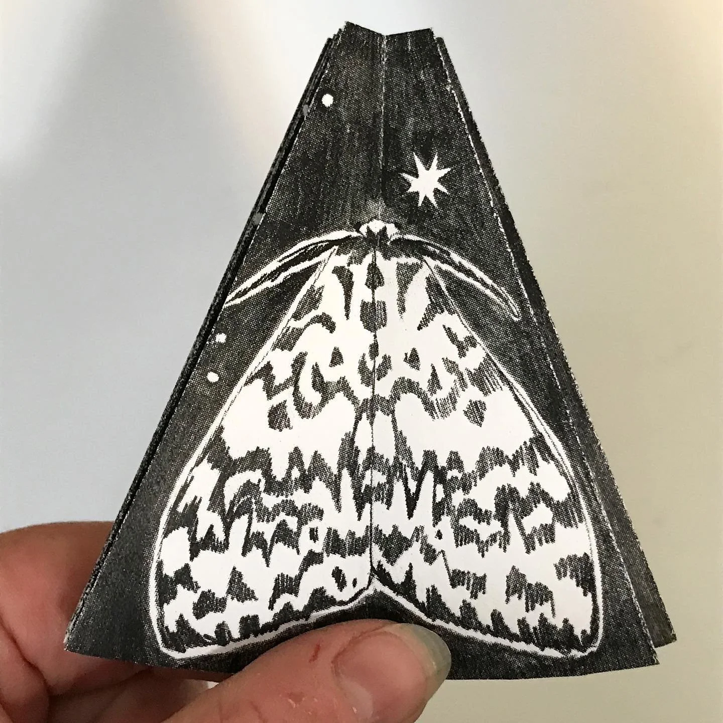 [image] - 7270999.jpeg