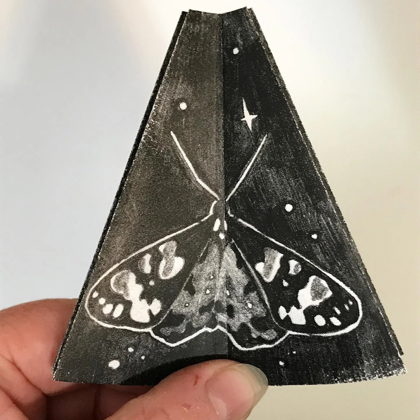 [image] - 7764628.jpeg