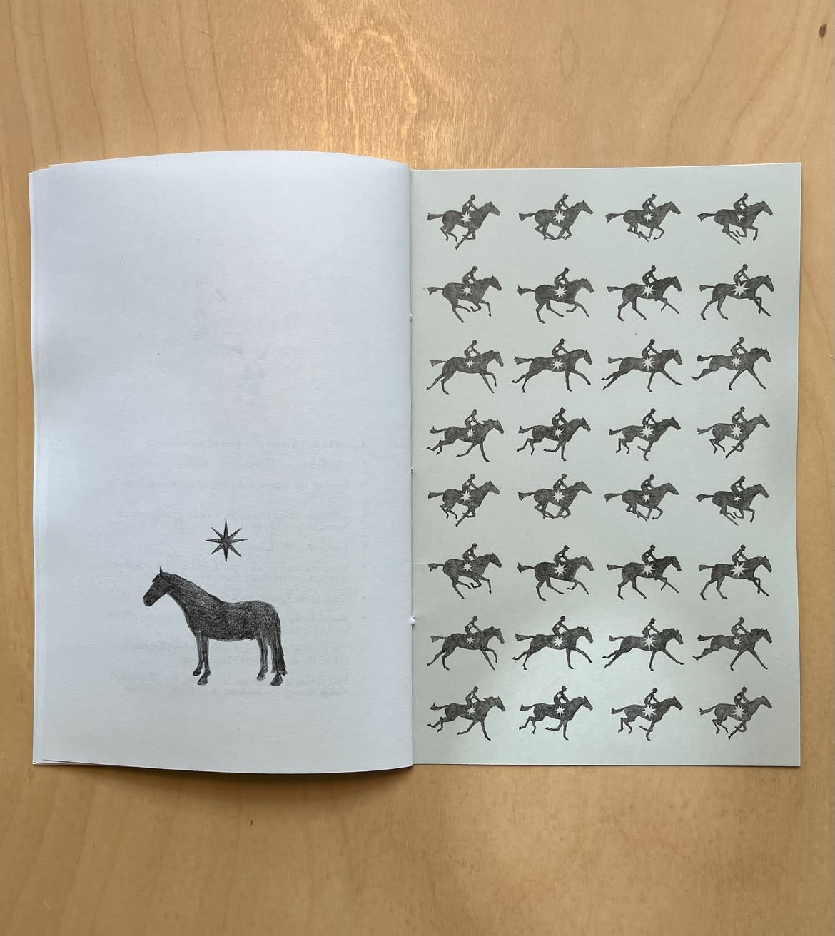 New Zine 🐎 ✨ Equine Studies- Lessons From and Observations of HorsesA new work of autotheory, t (5).jpg