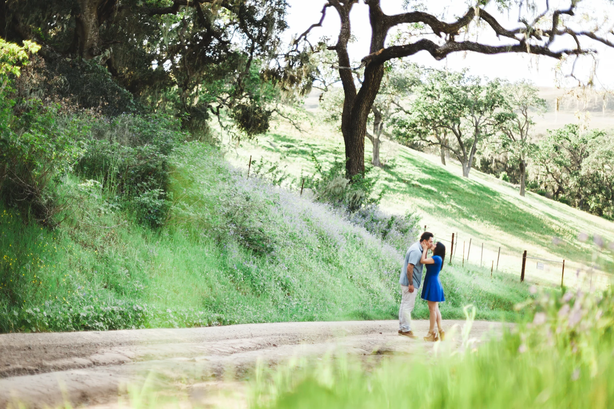 santa ynez valley engagement - john + adriana - ryanne bee photography
