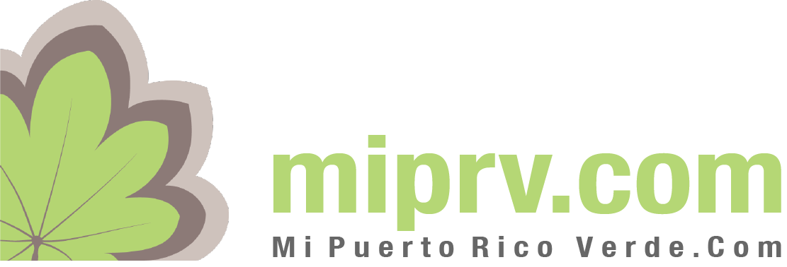 logo_miprv 2.jpeg