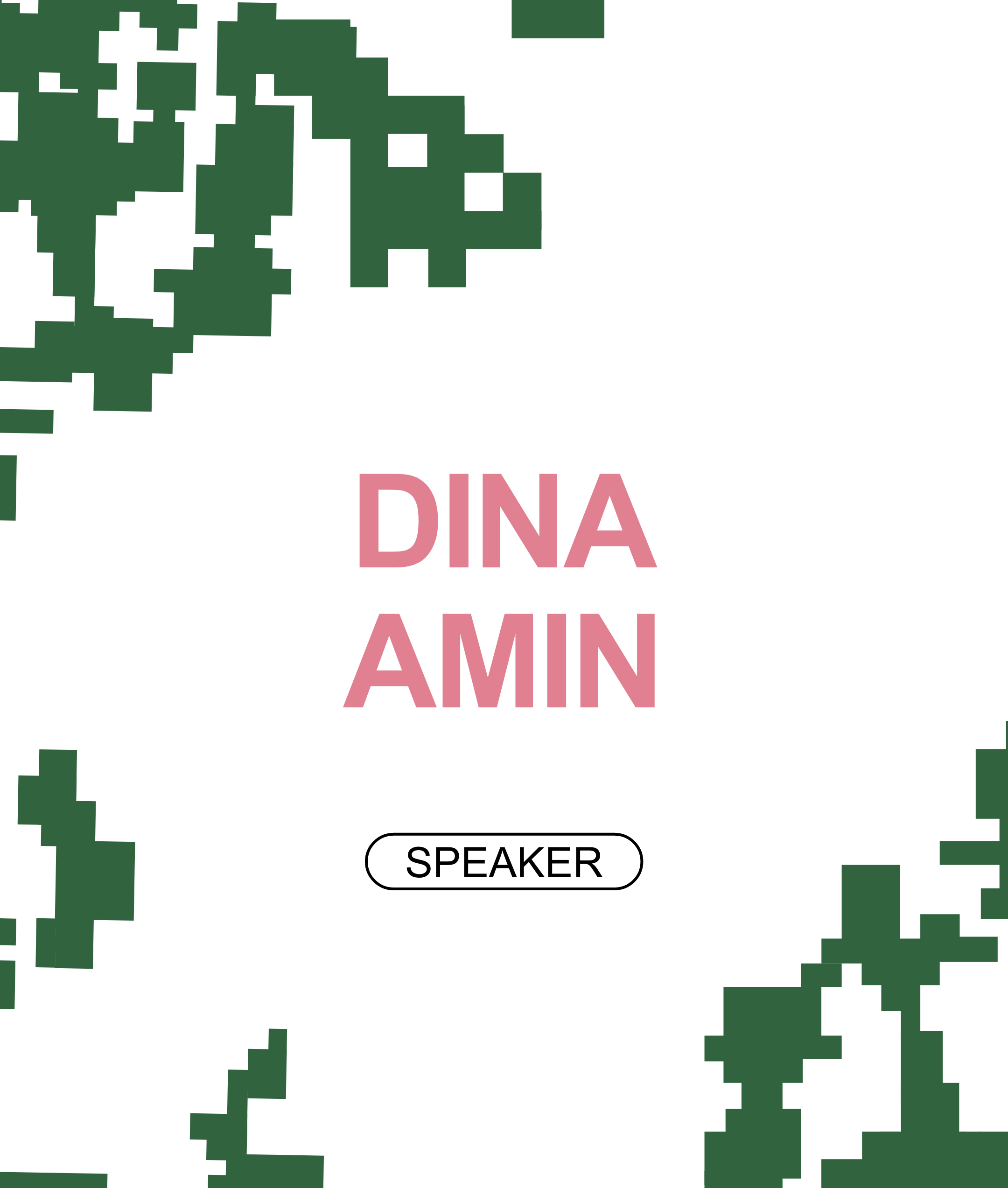 dina Amin 1 .png