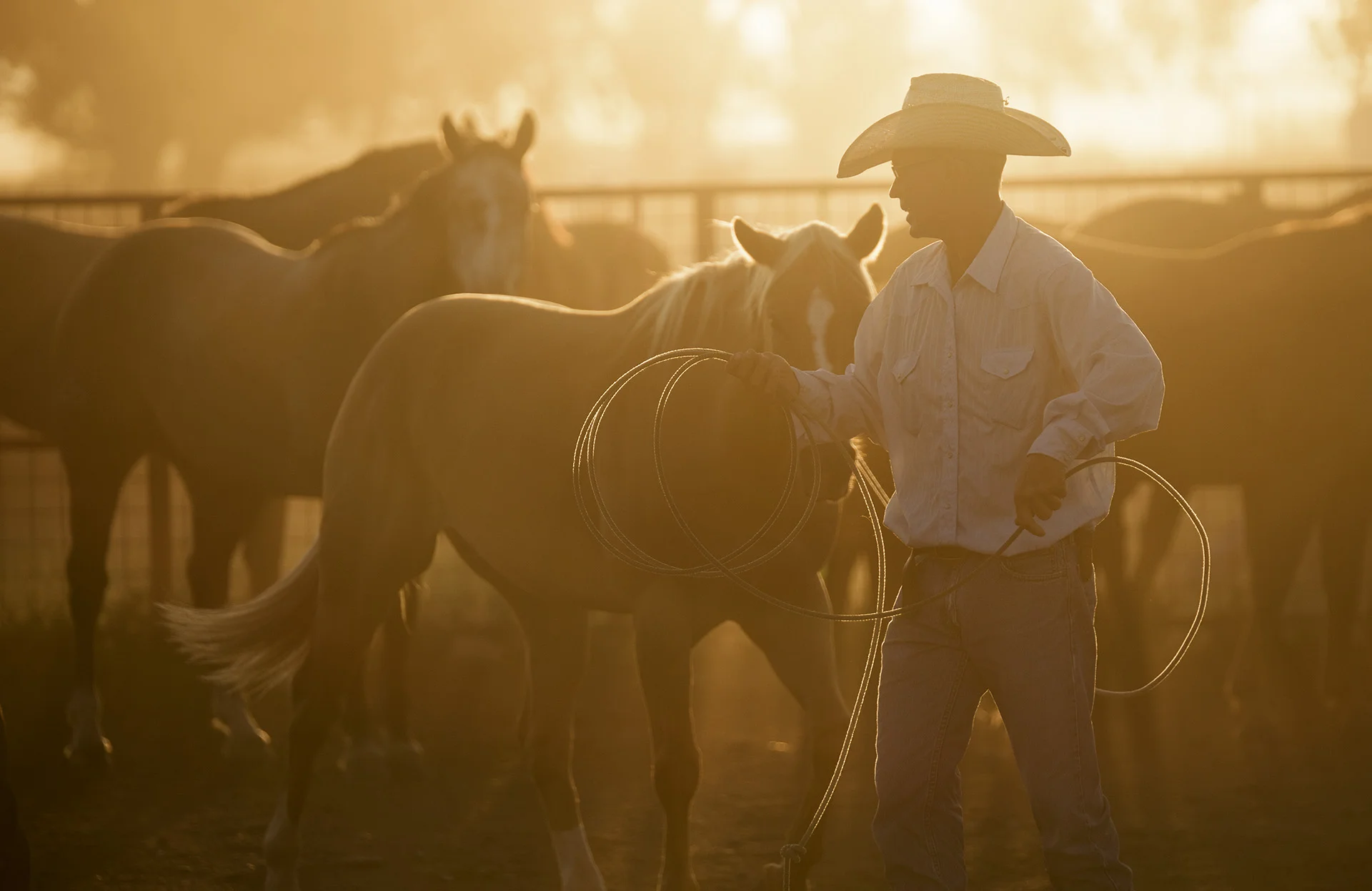 Saddling Horses at Kokernot 06 Ranch, Alpine, Texas