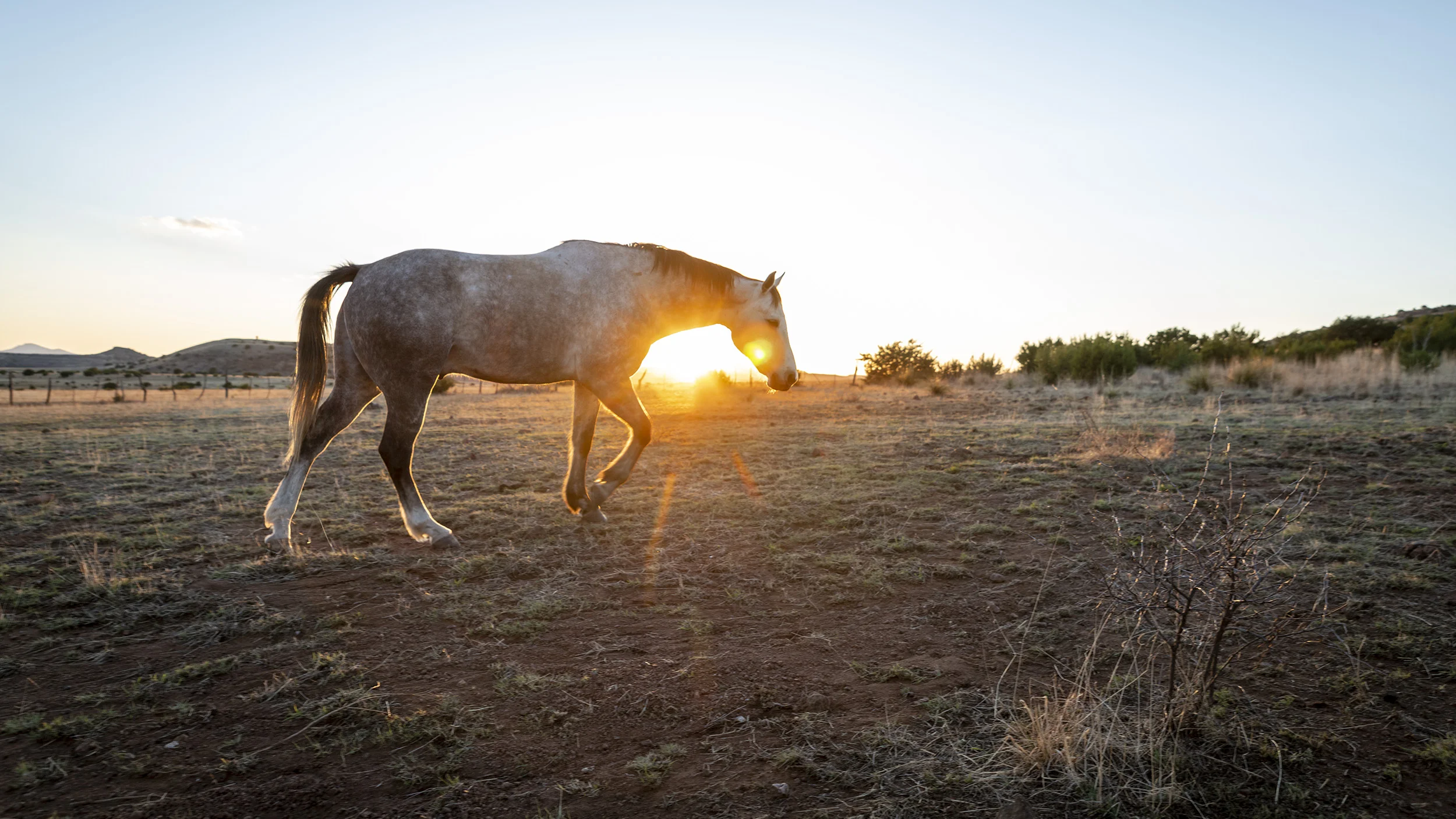 Spring Works at Kokernot 06 Ranch, Davis Mountains, Texas