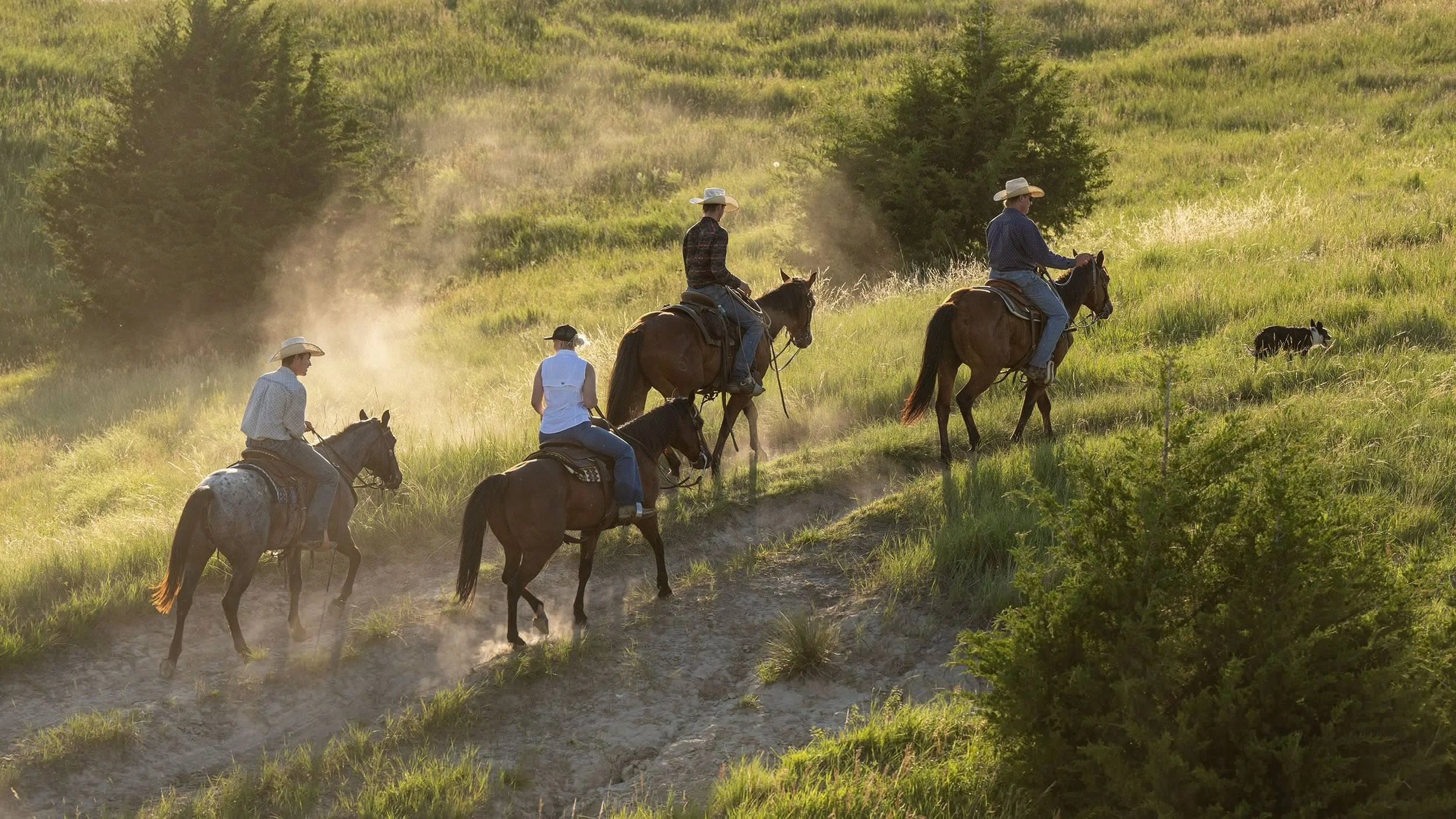 Akaushi_Legendary_Roundup_2DSC_2969_2500px.jpg