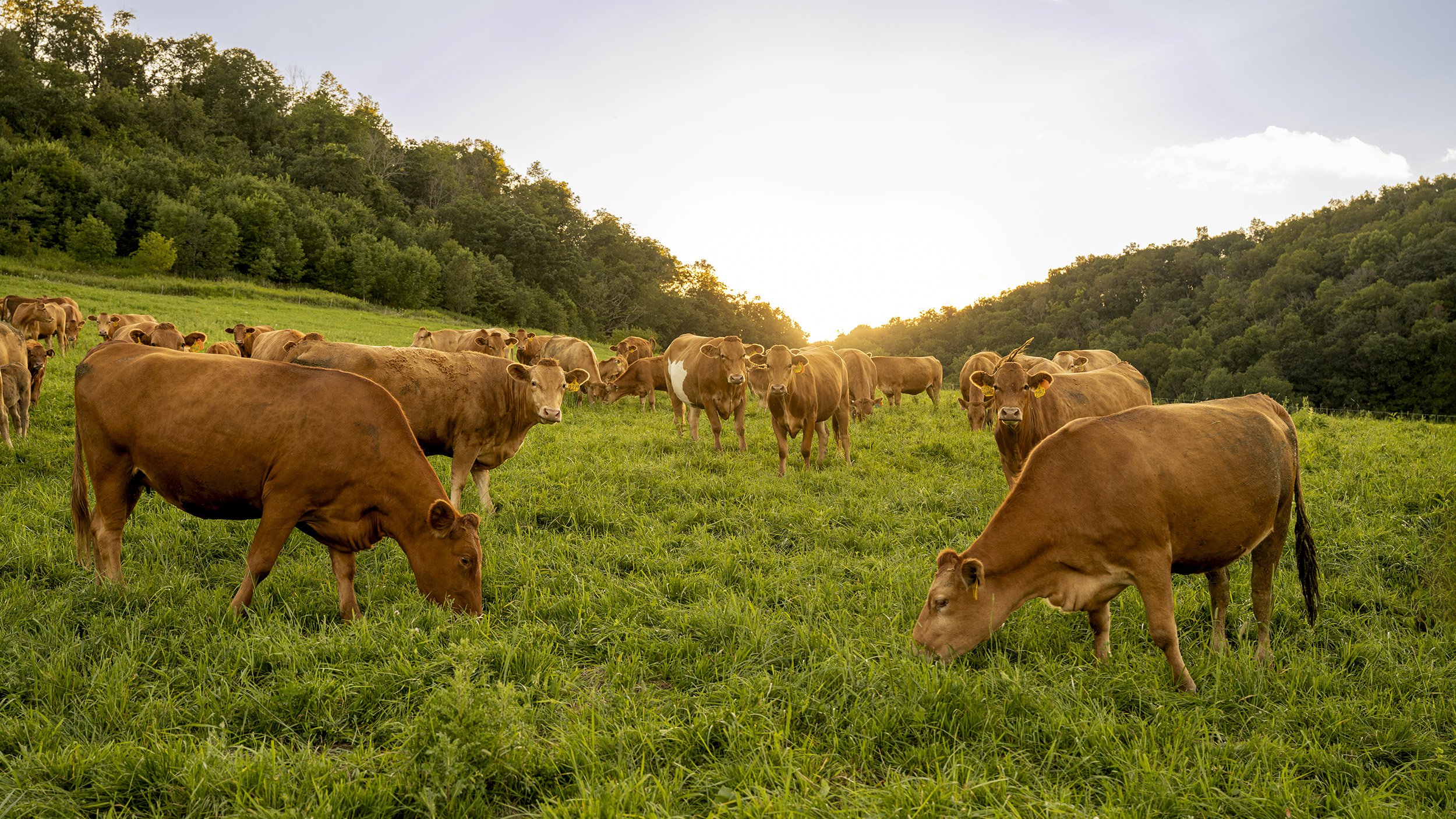 AKA-LEG Wi W Day1_DSC7634v2_2500px.jpg