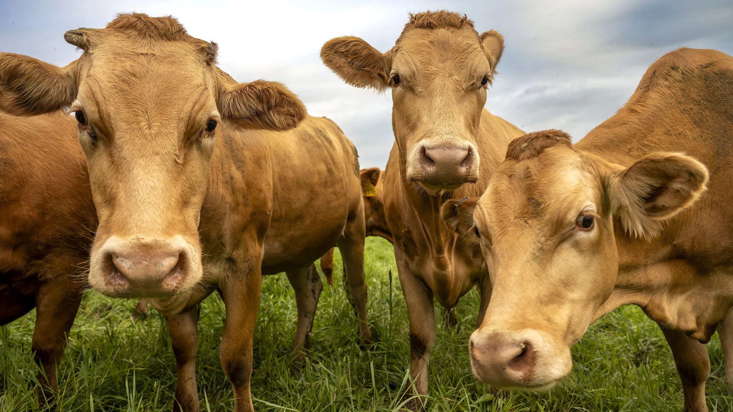 AKA-LEG Wi W Day1_DSC7326_ret_2500px.jpg