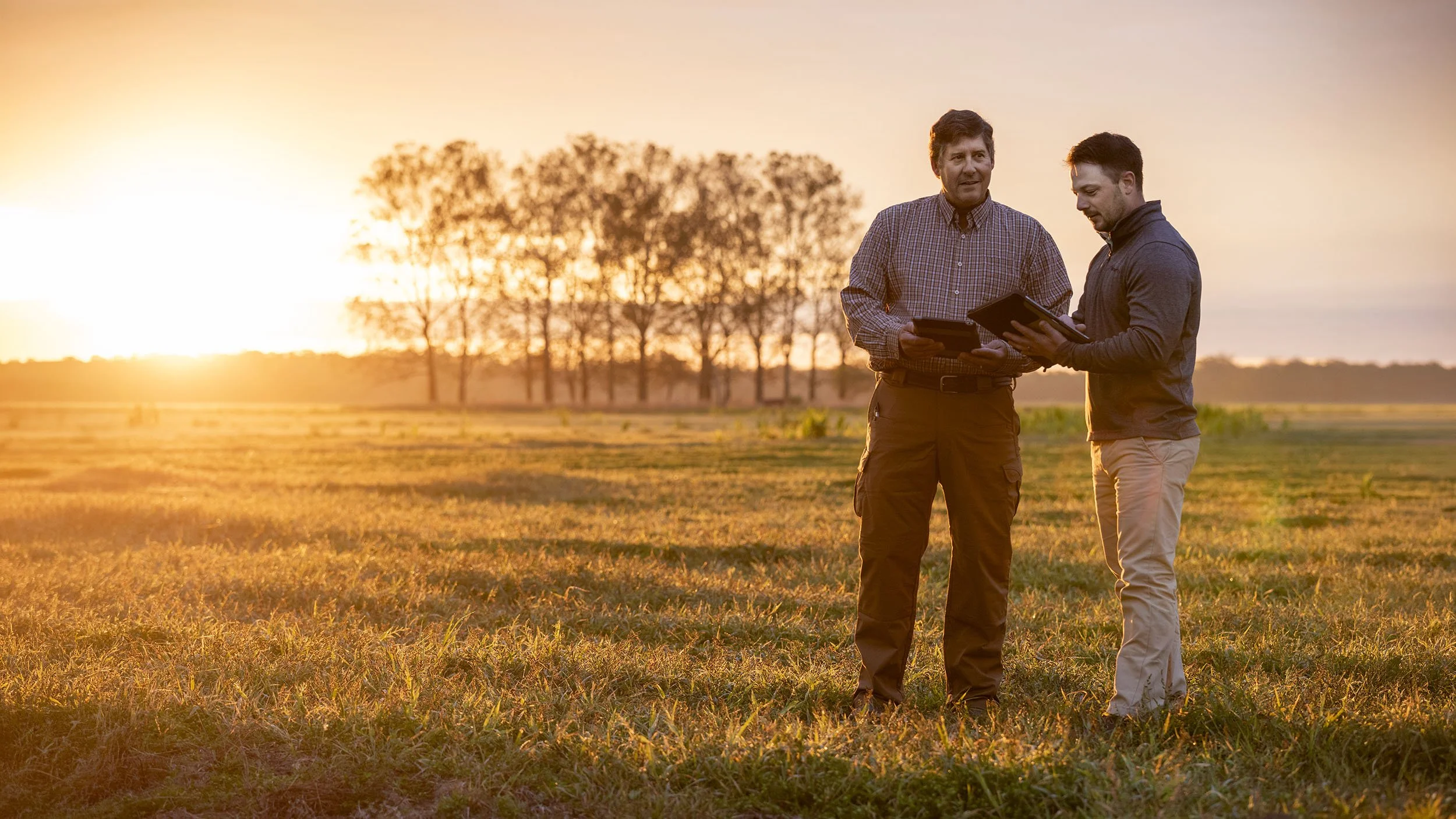 Syngenta_Stelly_farmer_DSA0926v2_2500px.jpg