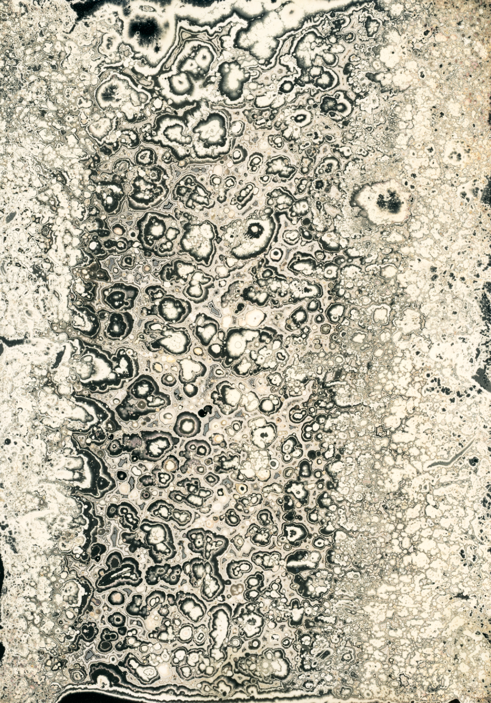 Emma Backer Chemigram 1