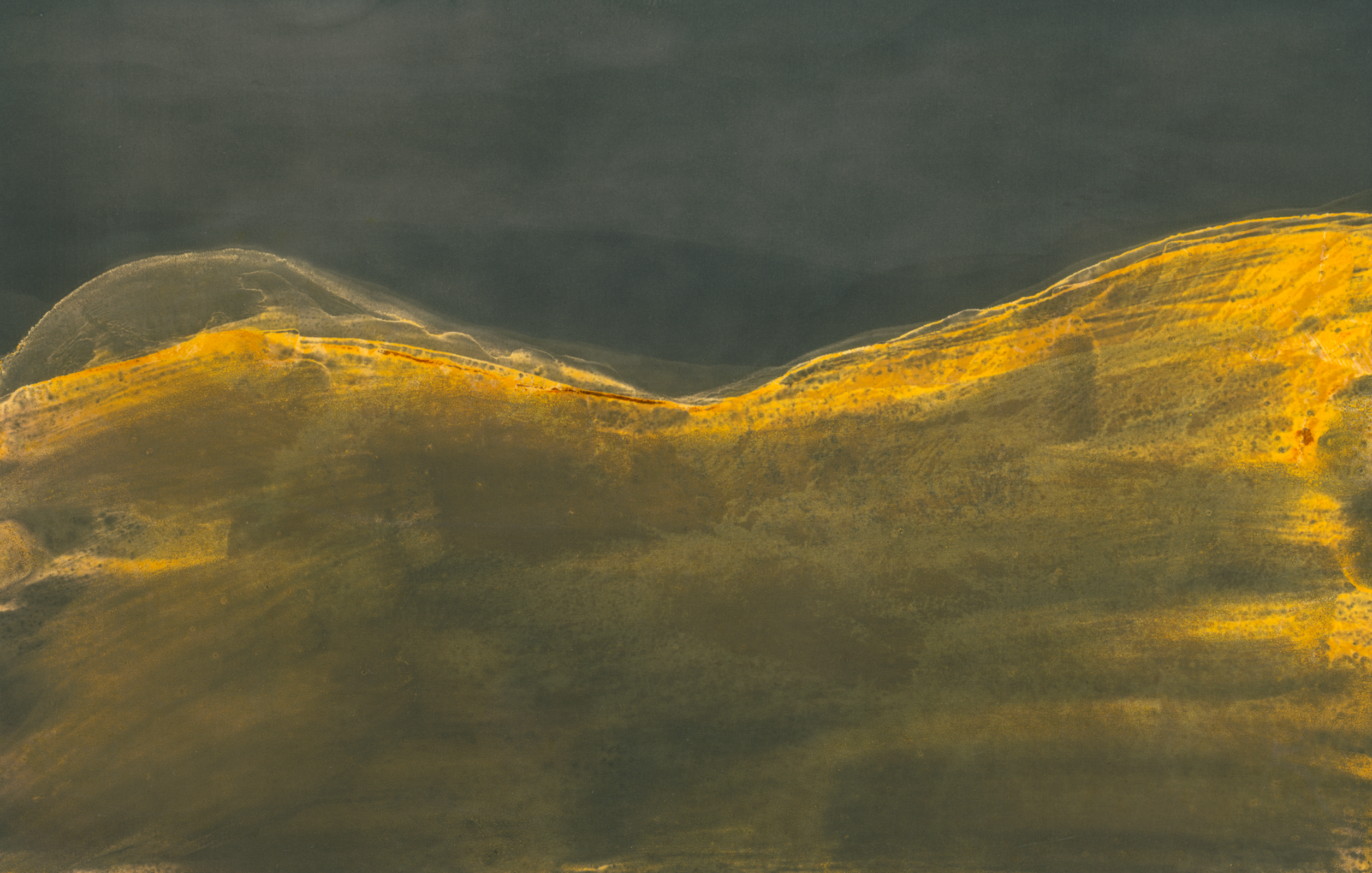 Emma Backer Chemigram 2