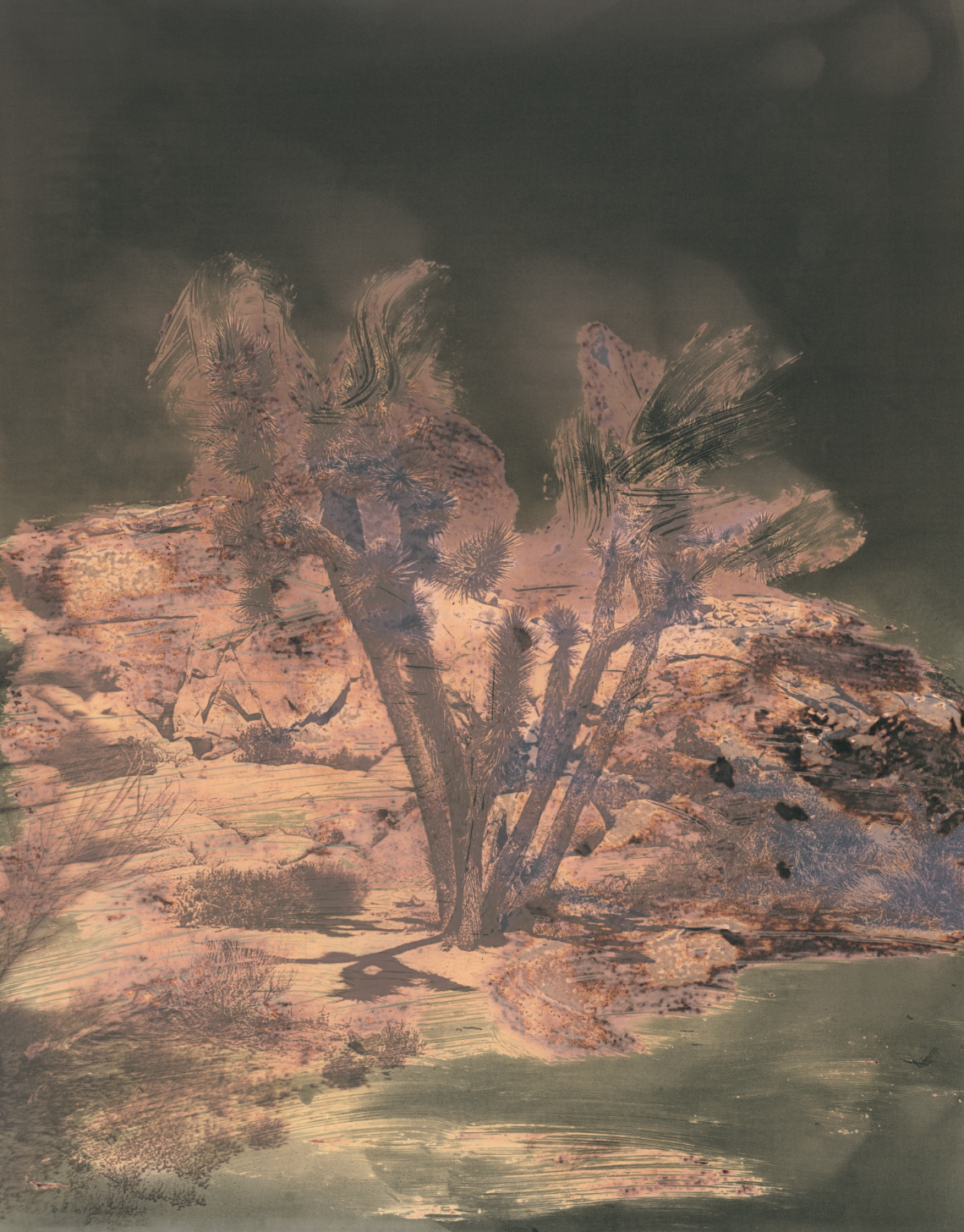 Emma Backer Chemigram 4