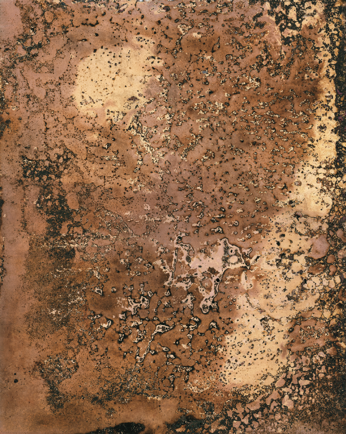 Emma Backer Chemigram 3