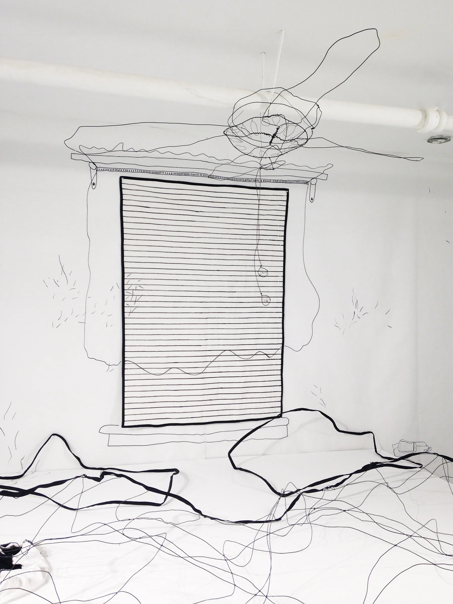 nugent_LDLW_windowdetailLR.jpg