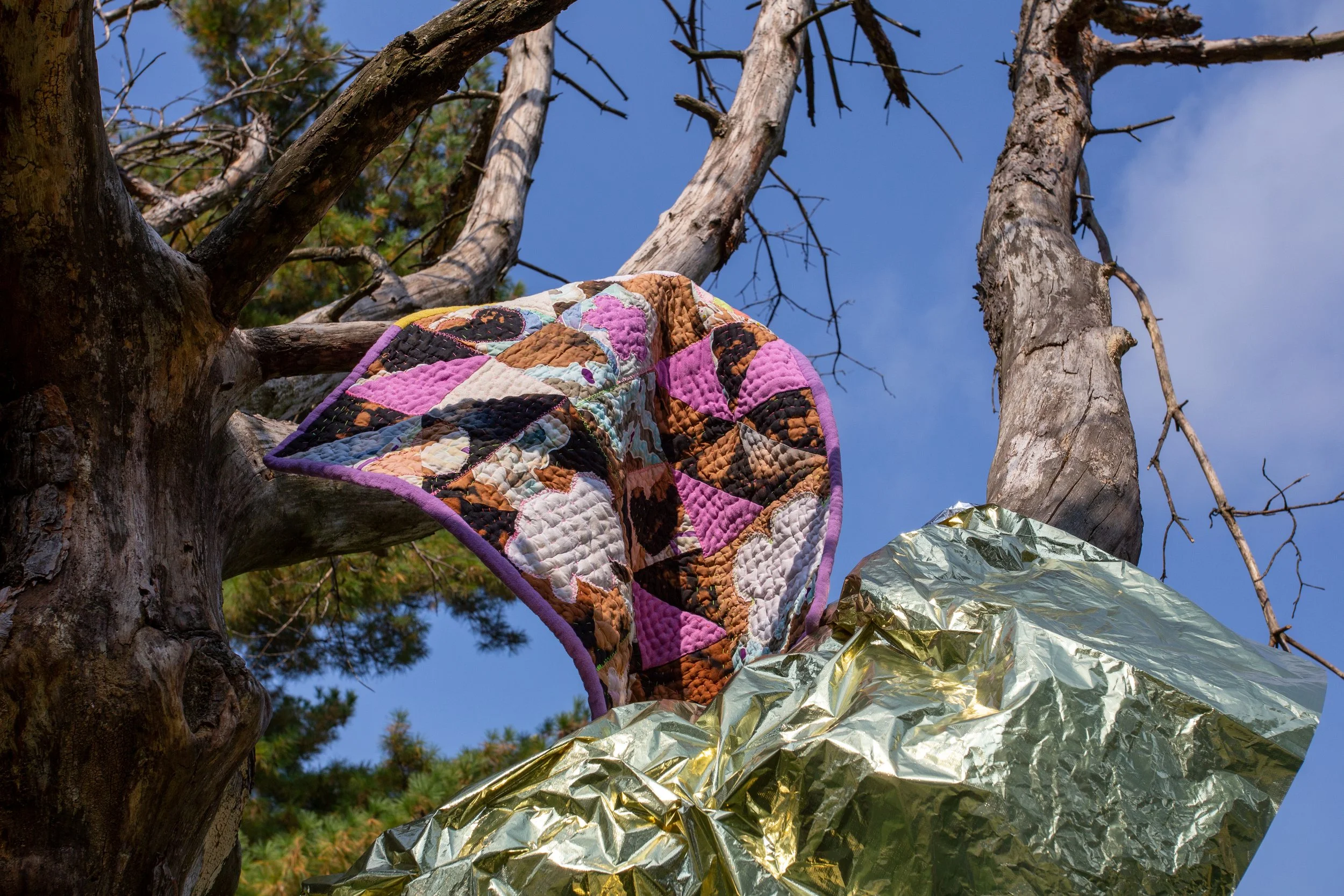  Photographed by Megan Ganey 