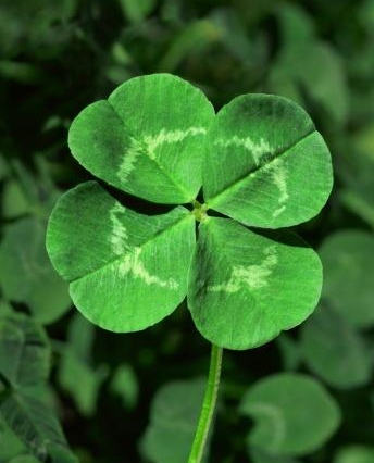 For YOU :-)