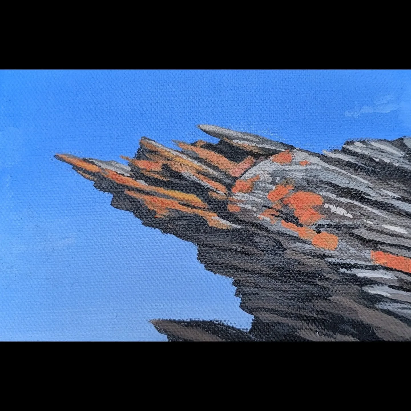 Had a blast doing some painting in Montana while visiting my Aunt Lee with some wonderful family! The orange lichen on the rocks was captivating. 
.
.
.
#cameronbyeart #painting #pleinair #montana #nature