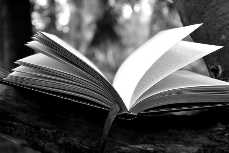 book.jpg