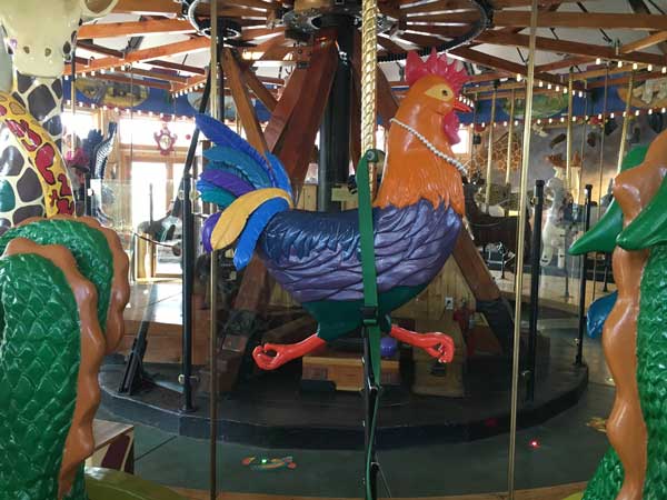 Here is your chance to ride a rooster.