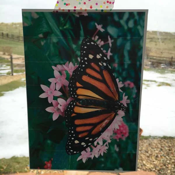 Here I use washi tape to affix the picture.