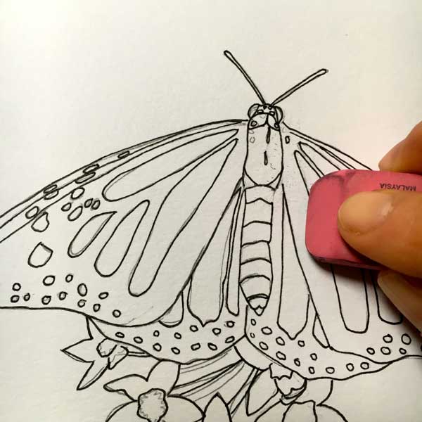 How to Draw a Butterfly (2 Drawing Tutorials) - VerbNow-saigonsouth.com.vn