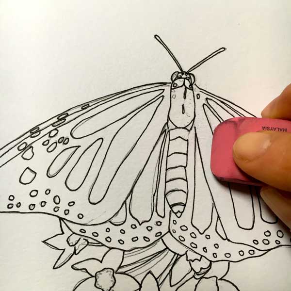 Once I have gone over all the pencil with my marker, I gently erase the pencil marks.