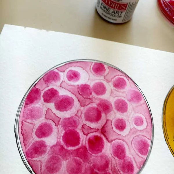 Here is what it looks like dry. Blood cells? Gumballs? Boba Tea? A regular rorschach test.