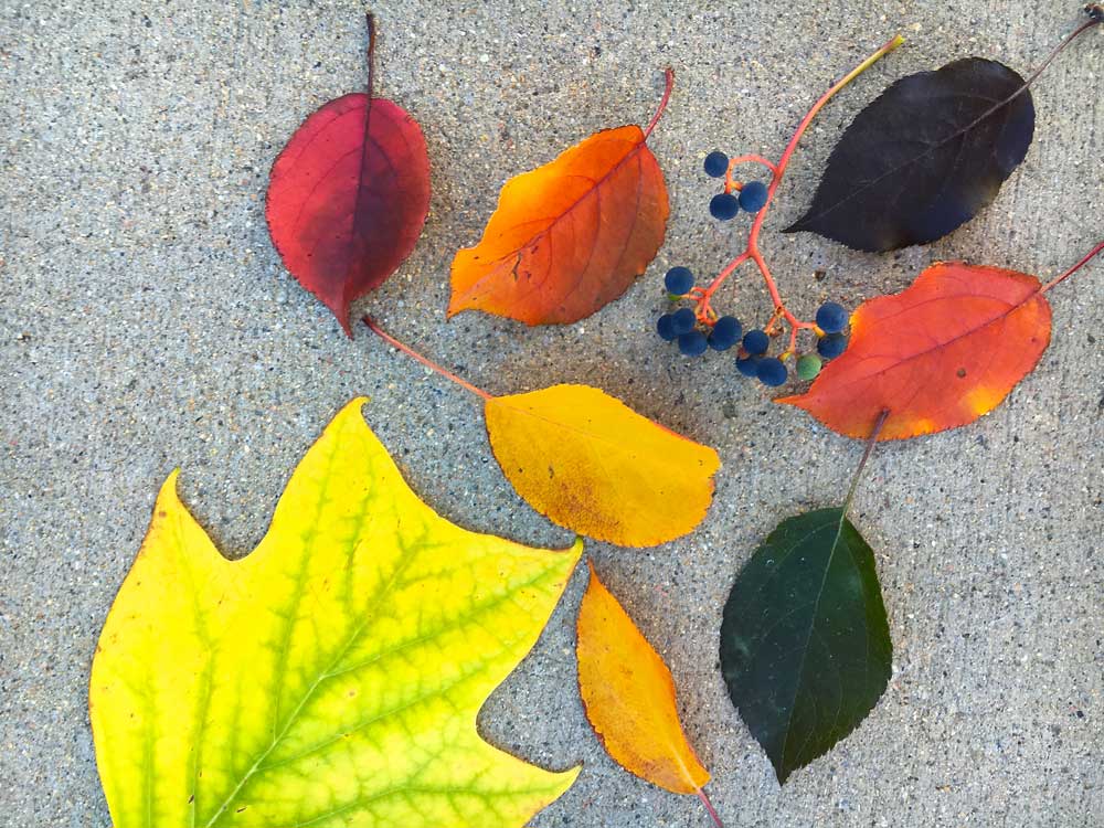 Colors, colors, colors galore!