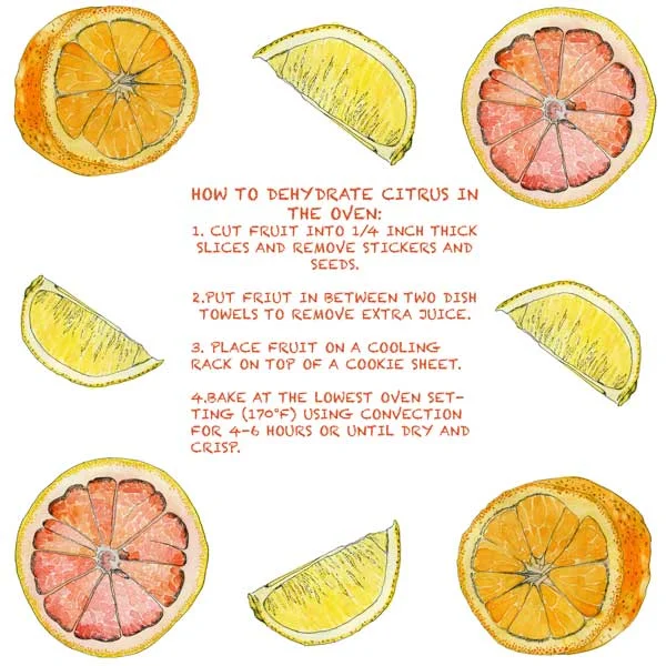 citrus-15.jpg
