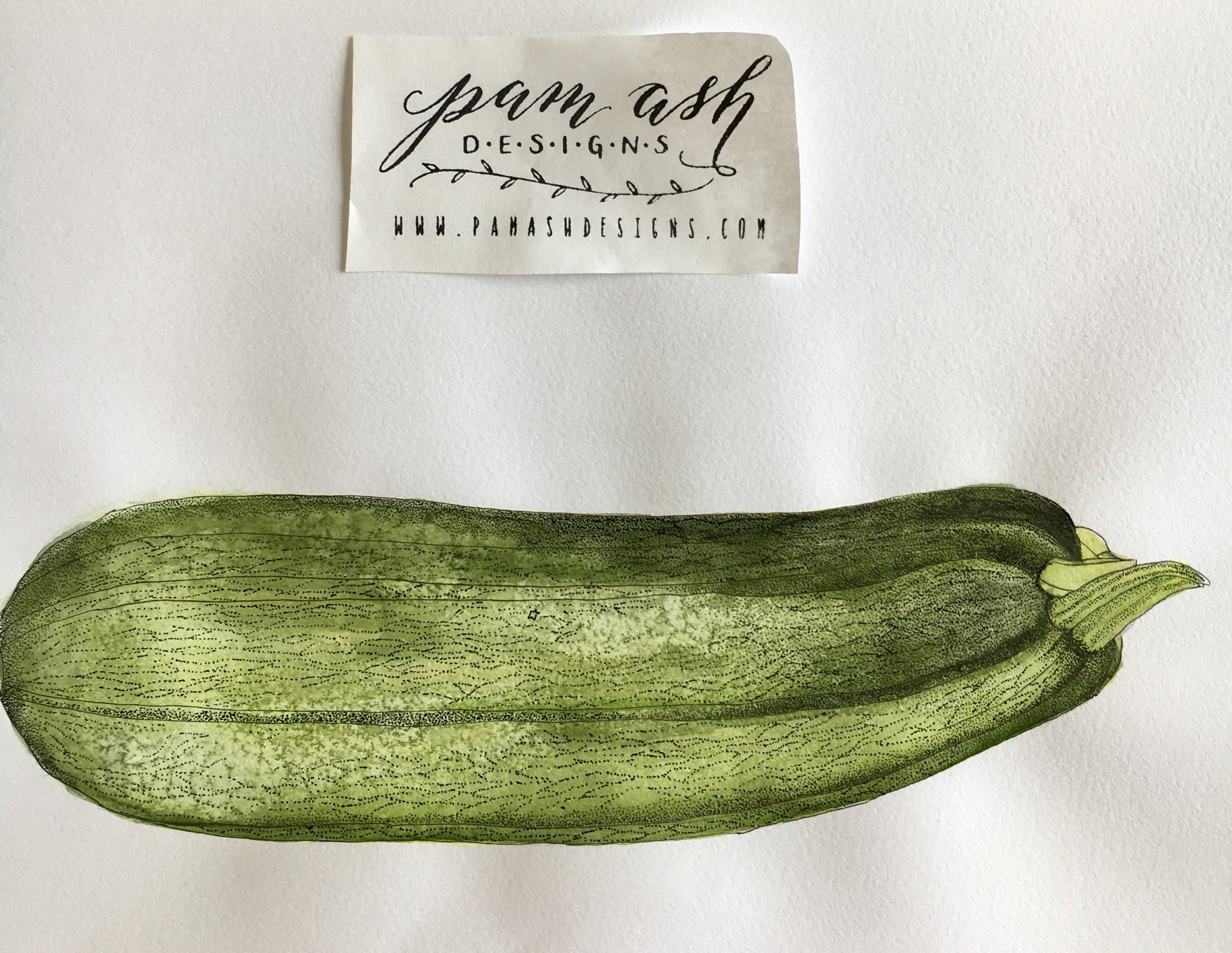 Zucchini