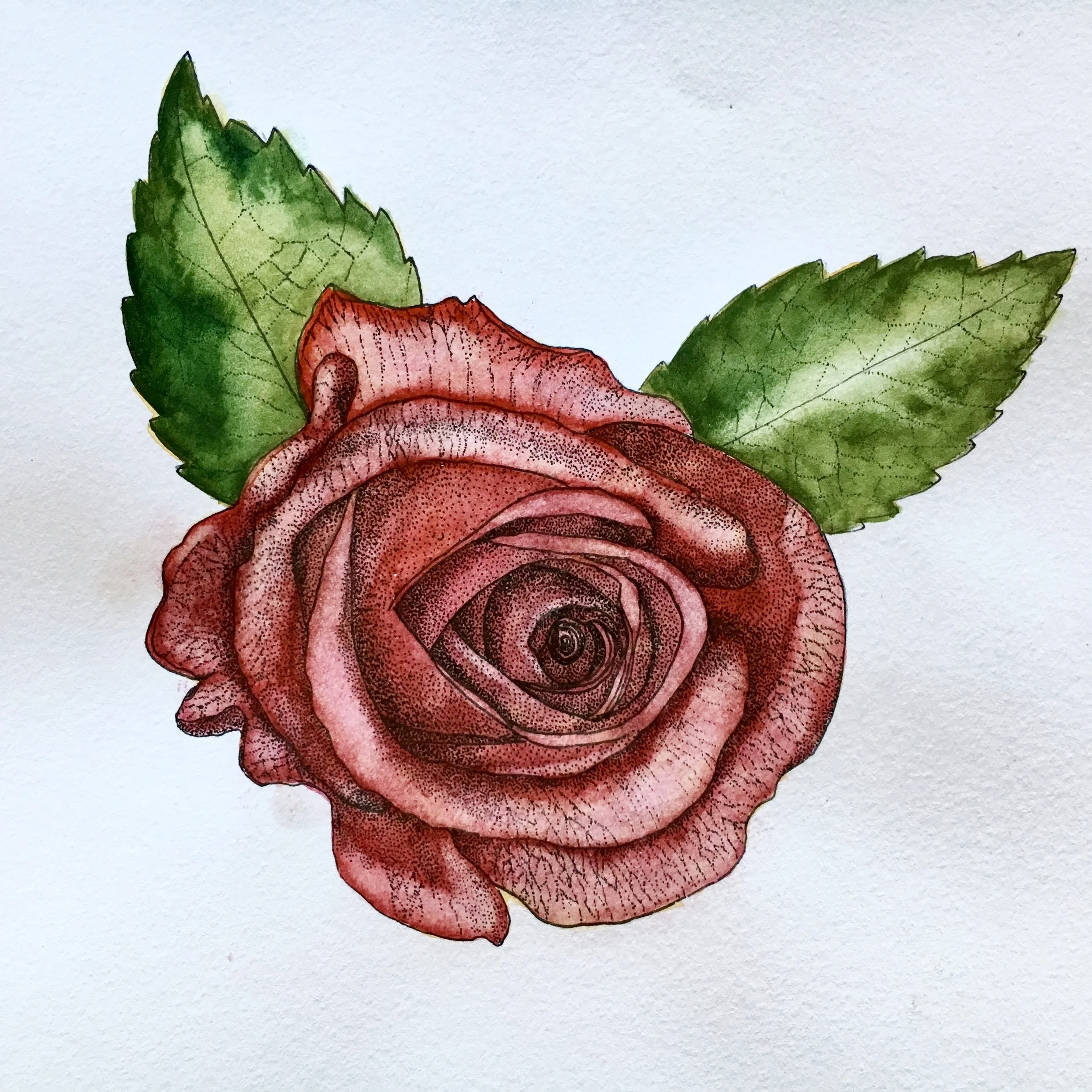 Rose