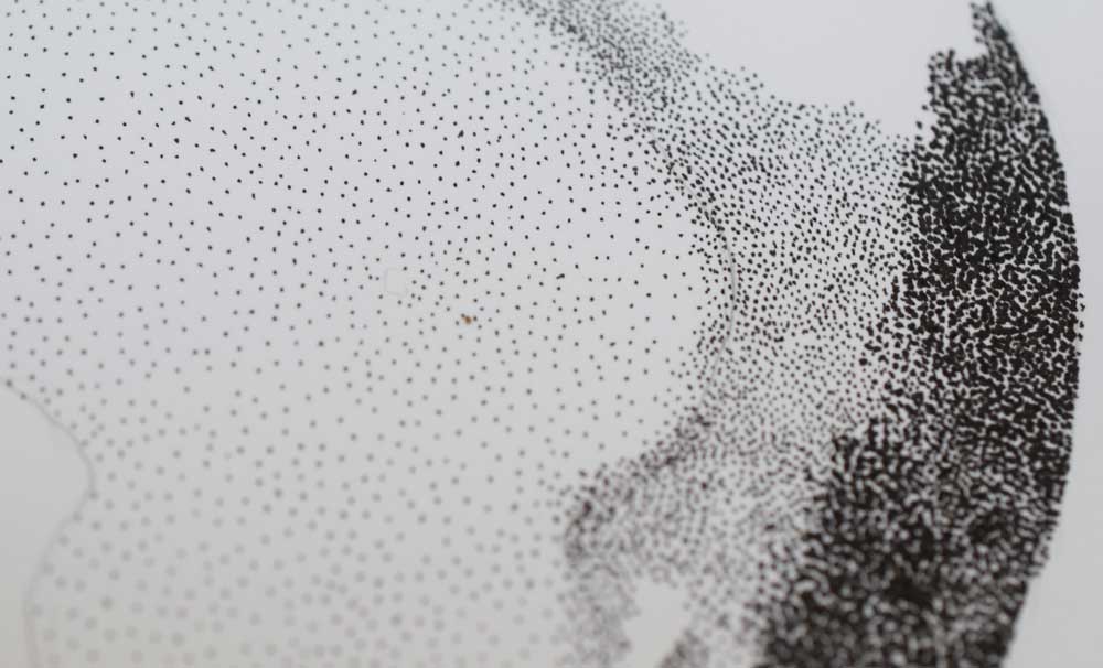 USING STIPPLING TO CREATE VALUE — Pam Ash Designs