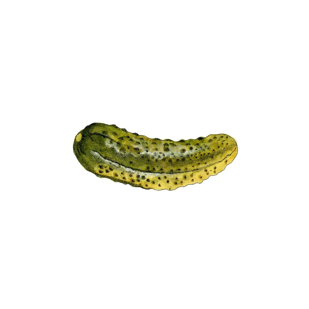 Pickle